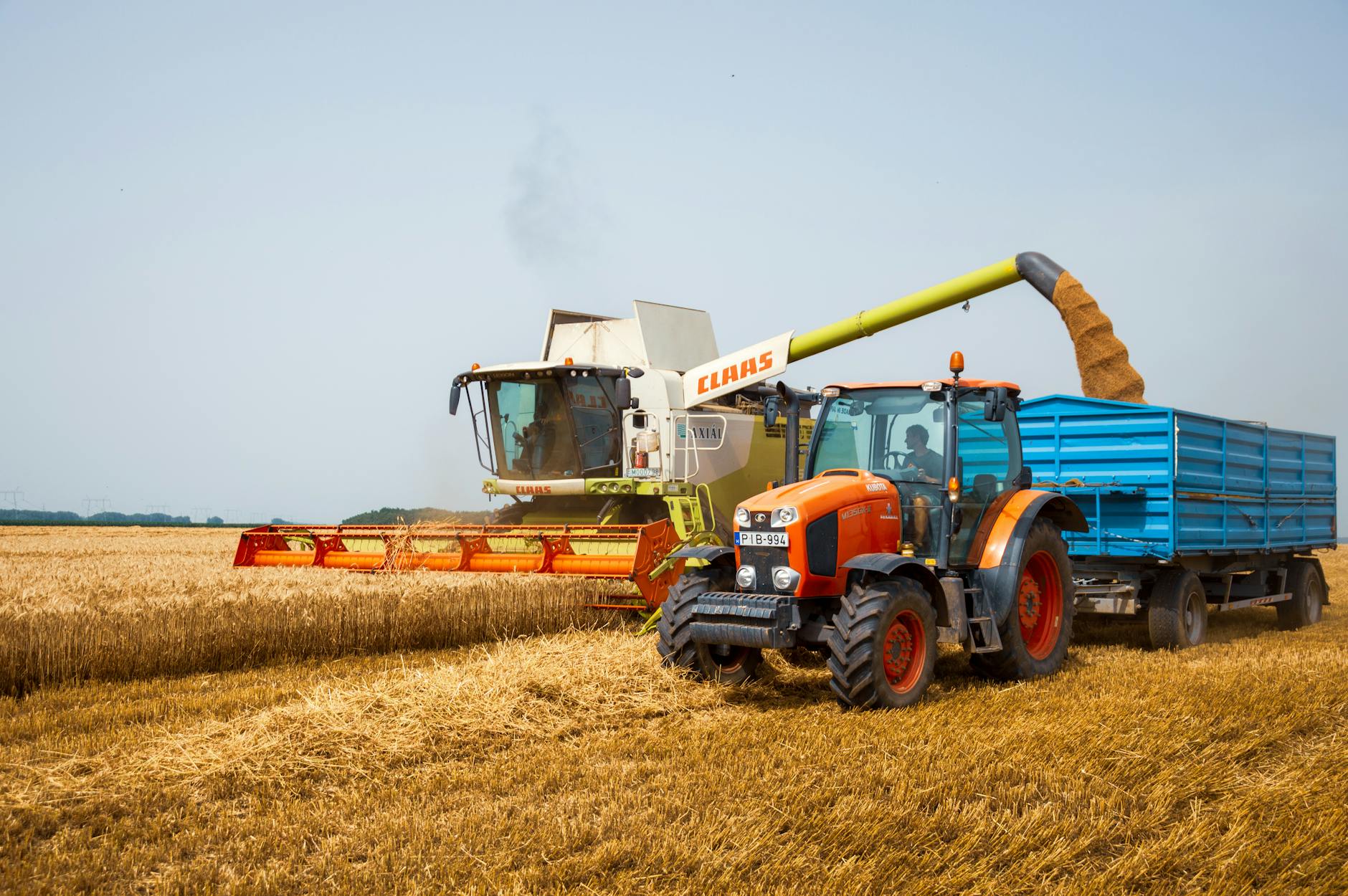 Kombajn i traktor zbierające pszenicę na polu latem