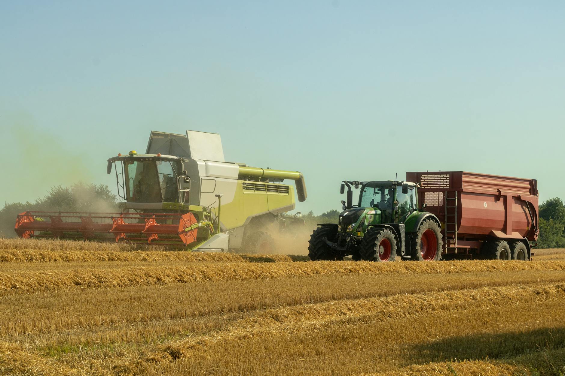 Prowadnice łańcucha i listwy: co zużywa się najszybciej w koszeniu rzepaku Kombajn i traktor pracujące na polu podczas zbioru zboża