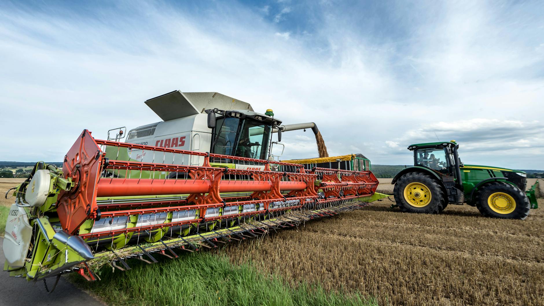 Kombajn i traktor pracujące przy żniwach pszenicy na polu w Niemczech